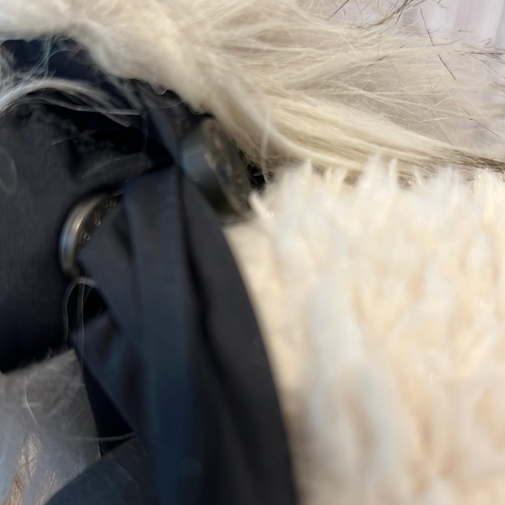 Abercrombie & Fitch Coat - Picture 3 of 12